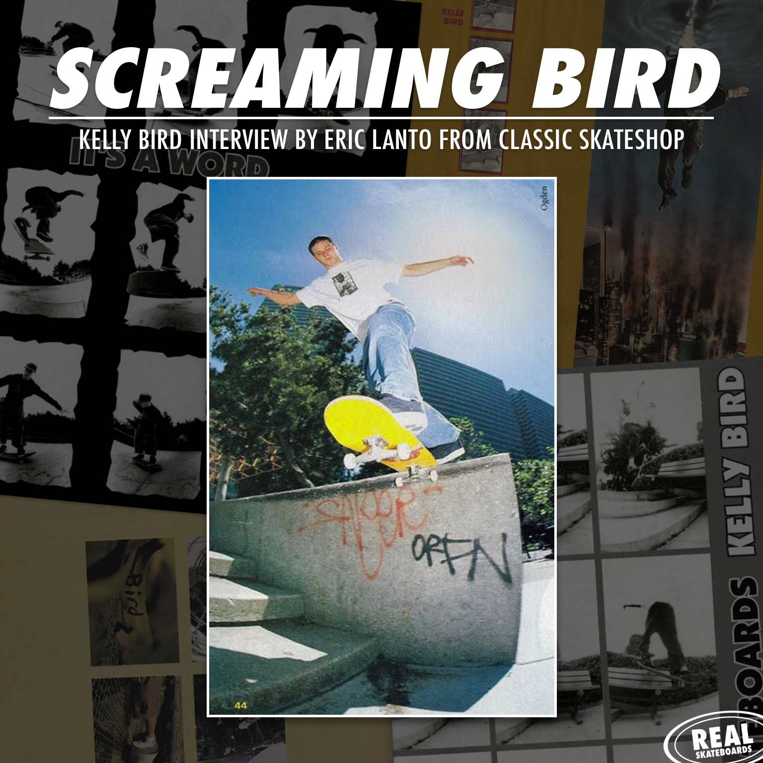 rs-screaming-bird-release-image-ig